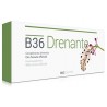 Lilolaugh B36 DRENANTE