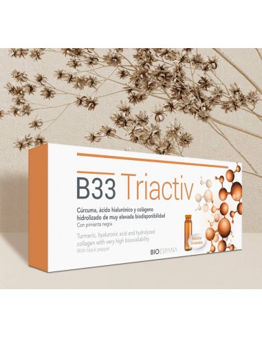 B33 Triactiv